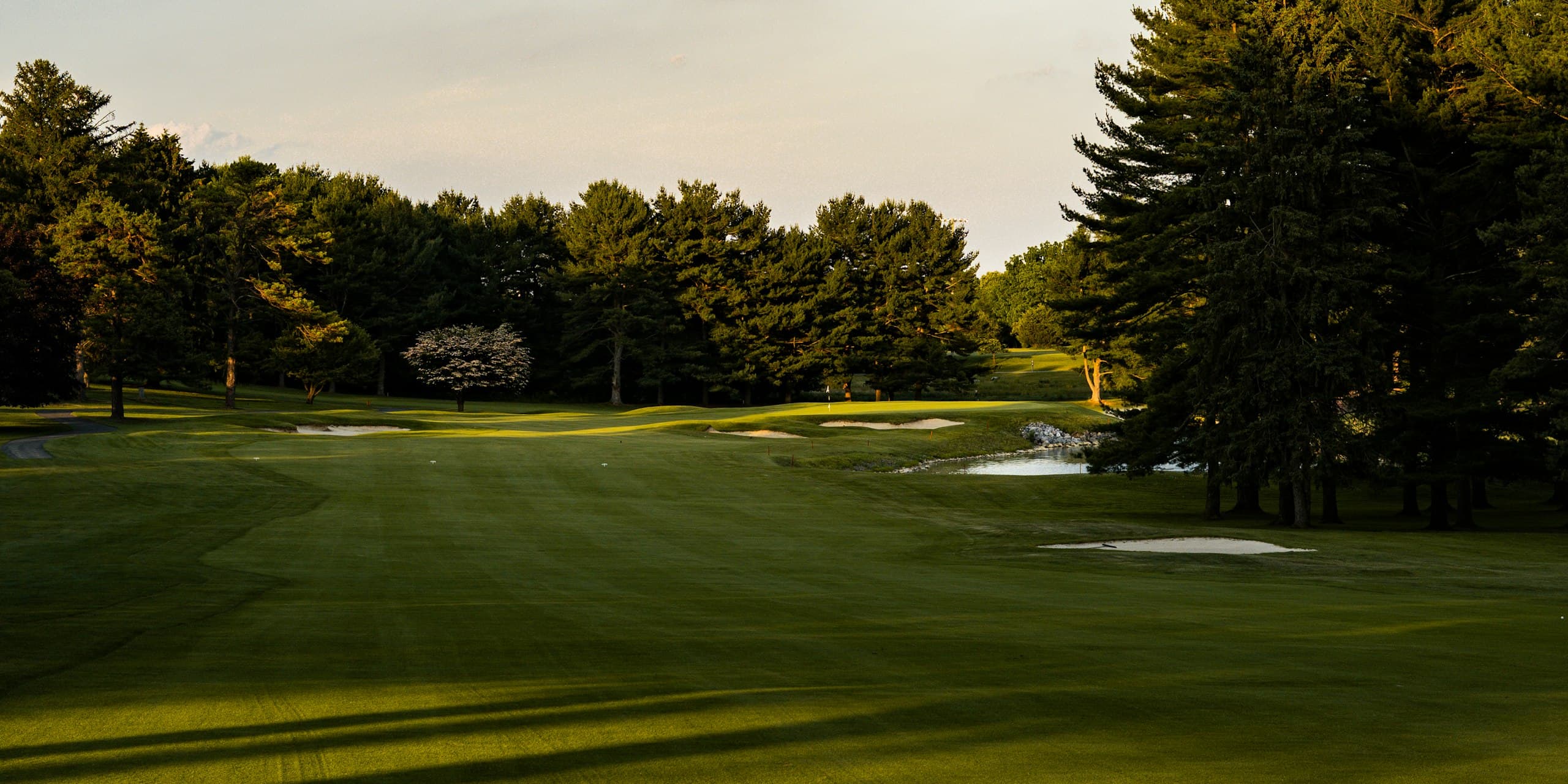 A precisely striped lawn in late afternoon light